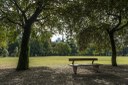 Parco Galvani_panchina